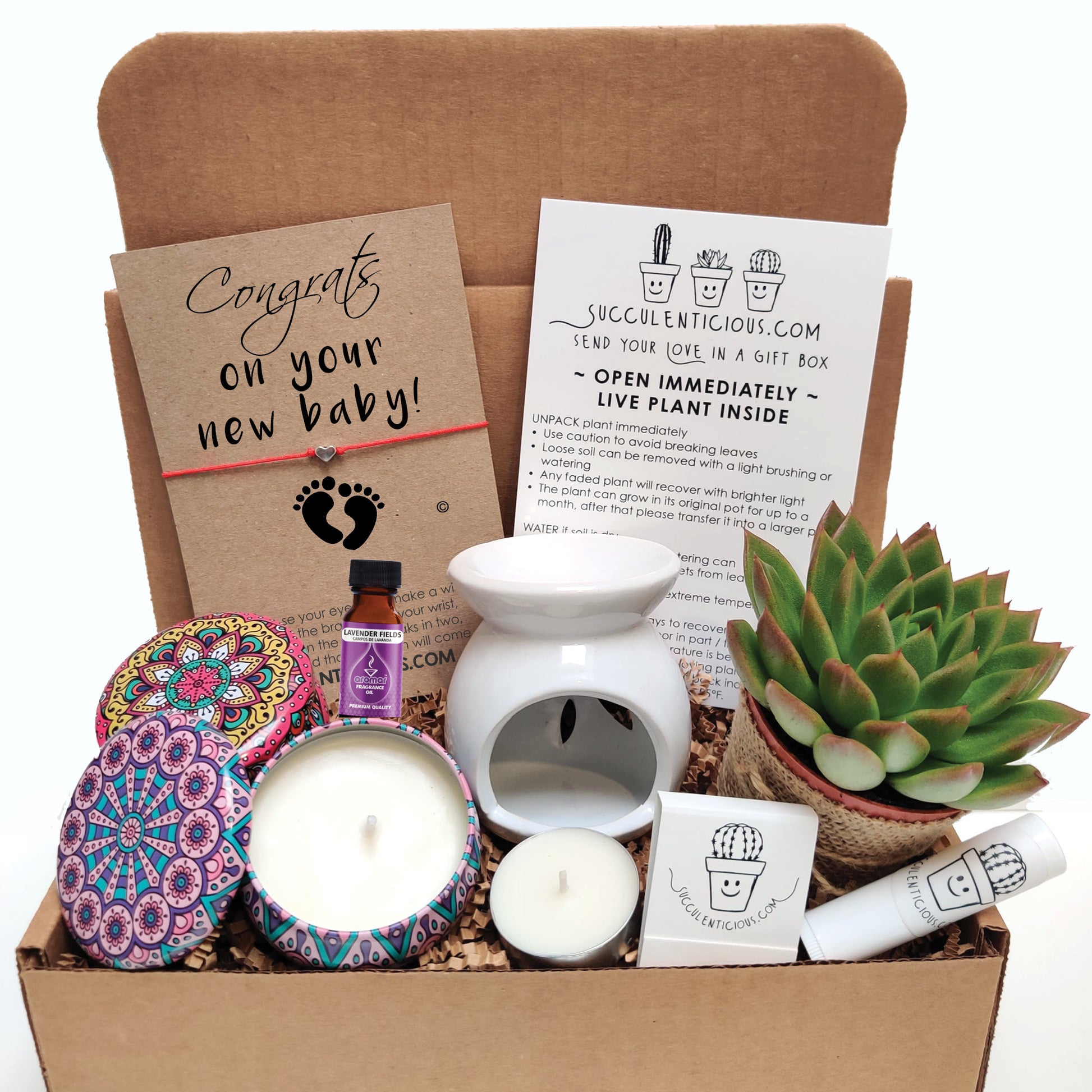 Congratulations New Apartment Gift, Housewarming Gift for Him, New  Apartment Gift Basket, Succulent Gift Box, Oil Gift Box Compass Bracelet 